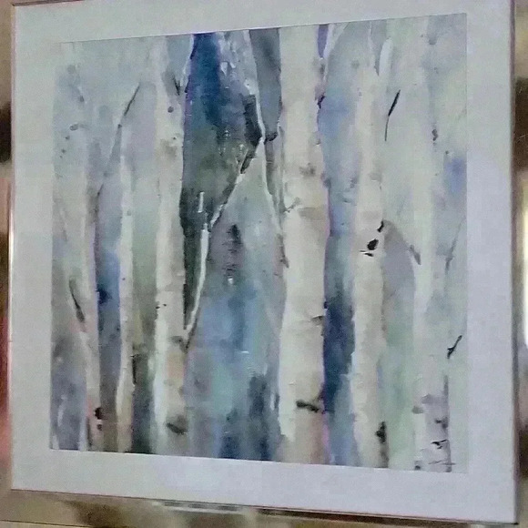River Birch Framed Print - 26 x 26 - Picture 3 of 7